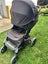 NUNA STROLLER Carousel 5