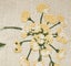 2pcs Flower Four Seasons Embroidery Cushion Cover Set. Carousel 4