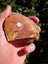 Petrified Wood carving slab Stunning pattern Carousel 3