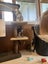 Scaredy Kittens - looking for loving homes Carousel 3