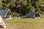 Epic Cycle Adventures- Unique Cycle Tourism Business on the Timber Trail Carousel 9