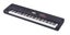 KORG KROSS 2 - 88 note Carousel 1