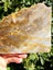 Picture Agate NZ carving slab Stunning pattern UV Reactive Tiki slab Carousel 5