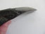 MAGNIFICENT LARGE MEGALODON TOOTH, AUTHENTIC FOSSIL Carousel 4