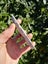 Pounamu greenstone carving slab kahotea Carousel 4