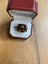 A Colourful Vibrant Ring Carousel 1