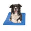 Loading Image 1 of 5