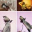 Lizard Harness Leash Reptile Dragon & Cool Leather Wings Adjustable Bearded Carousel 5