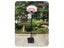 PTN New NetBall Hoop and Stand Set Sale Sale Carousel 6