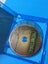 Dinosaurs: Extreme Survivors (Blu-Ray) Carousel 3