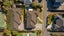 gallery view thumbnail