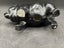 Sylvac Pig 1132 A/F Carousel 7