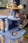 Adorable 9-week-old kittens ragdoll-tabby Crossed Carousel 3