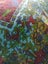 TREE OF LIFE ~ Cotton Wall Hanging/Couch Cover! Carousel 4