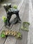 Red Eared Slider turtle, tank and accessories Carousel 11