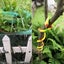 4 Pack Realistic Rubber Snakes for Garden Props Birds Squirrels Mice Scare Toy Carousel 6