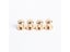 500sets 8mm 6mm Zinc Alloy Round Head Stud Spot Screwback For CraftLeather Bag Carousel 8