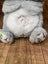 Evora Soothing Koala, Anxiety Relief Breathing Stuffed Animal Carousel 3