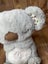 Evora Soothing Koala, Anxiety Relief Breathing Stuffed Animal Carousel 4