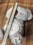 Evora Soothing Koala, Anxiety Relief Breathing Stuffed Animal Carousel 6
