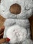 Evora Soothing Koala, Anxiety Relief Breathing Stuffed Animal Carousel 8