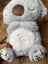 Evora Soothing Koala, Anxiety Relief Breathing Stuffed Animal Carousel 9