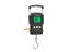 Scales Digital Scales Carousel 6