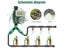 Automatic Garden Irrigation Water Timer Carousel 5
