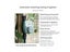 Automatic Garden Irrigation Water Timer Carousel 7