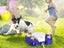 PTN New Dog Water Fountain Outdoor Sale Sale Carousel 3