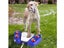 PTN New Dog Water Fountain Outdoor Sale Sale Carousel 5