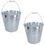 15L Galvanised Steel Metal Bucket Pail Water Coal Fire Greenhouse Garden Plants Carousel 4
