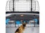 New Dog Car Barrier Sale Sale Sale Carousel 6