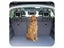 New Dog Car Barrier Sale Sale Sale Carousel 10