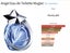 MUGLER Alien and Angel Niche fragrances 3 x 2 ml perfume samples for $22 Carousel 11