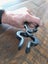 Wide Mouth Round Stock Tongs (Blacksmith) Carousel 4