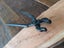 Wide Mouth Scrolling Tongs (Blacksmith) Carousel 5