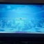 X-BOX ONE 500GB MODEL 1540 CONSOLE & 2 CONTROLLER CHARGING DOCK ETC Carousel 4