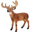 Loading Image 1 of 3