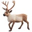 Loading Image 1 of 8