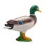 Loading Image 4 of 4