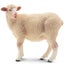 Loading Image 1 of 6