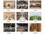 New Wireless Security Camera Clearance Carousel 13
