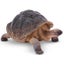 Loading Image 1 of 5