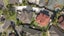gallery view thumbnail