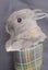Miniature Netherlands Bunnies Carousel 4