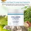 Facial Skin Hydrating Moisturizing Cream Nourishing Firming Rejuvenating Cream Carousel 6
