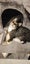 THE STREET CAT PROJECT - ROCCO & MOCCO - AVAILABLE FOR PREADOPTION Carousel 2