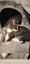 THE STREET CAT PROJECT - ROCCO & MOCCO - AVAILABLE FOR PREADOPTION Carousel 4