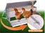 Large Chicken Feeder Set Carousel 12